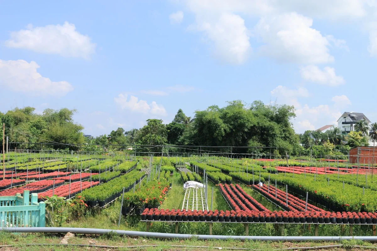 Phu Quoc Countryside Farm feature