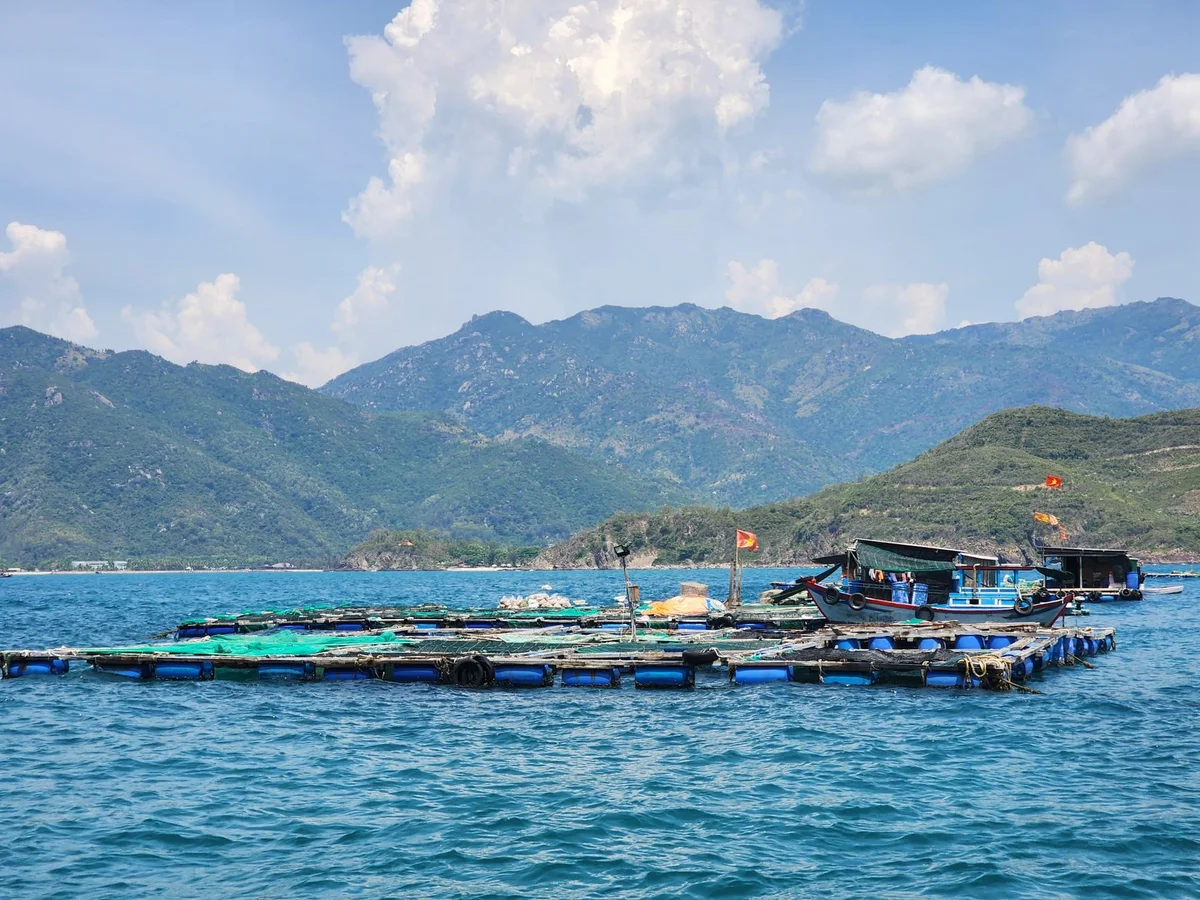 Phu Quoc Countryside feature