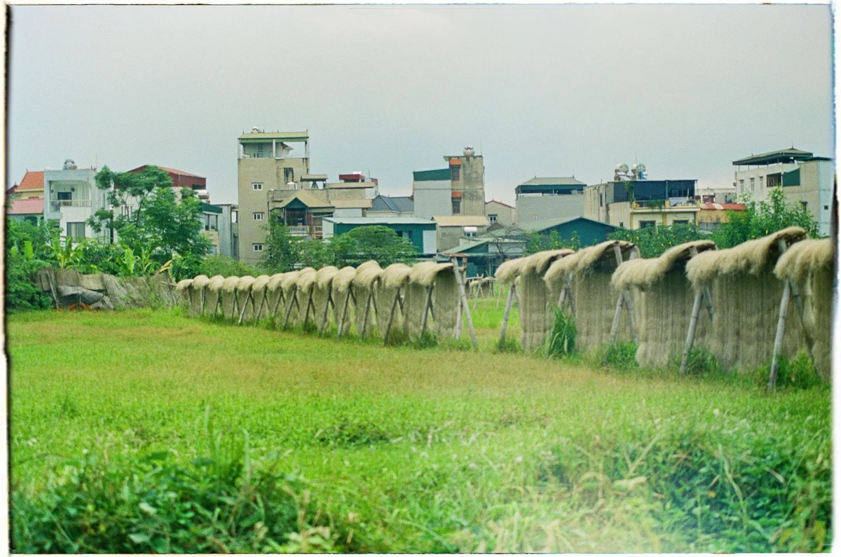 Thanh Toan Market view 2