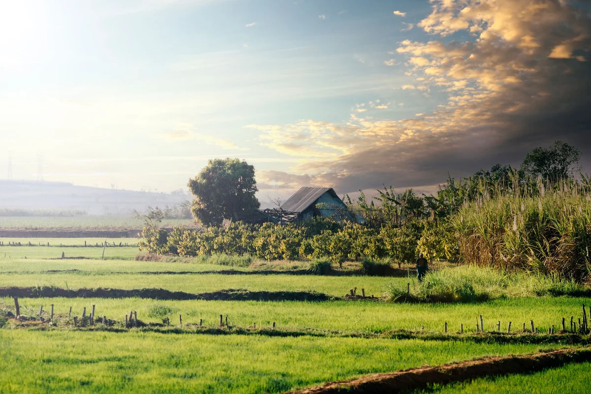 Tuy Loan Ancient Village view 2