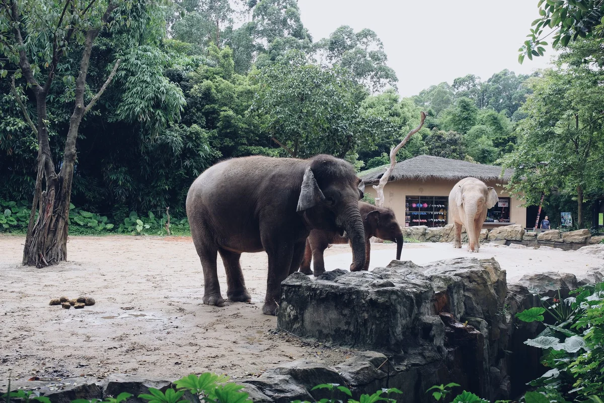 Vinpearl Safari Phu Quoc view 1