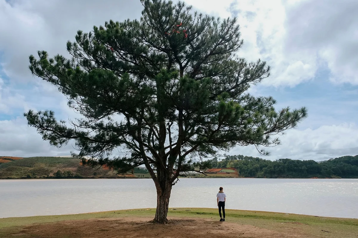 Vong Canh Hill view 1