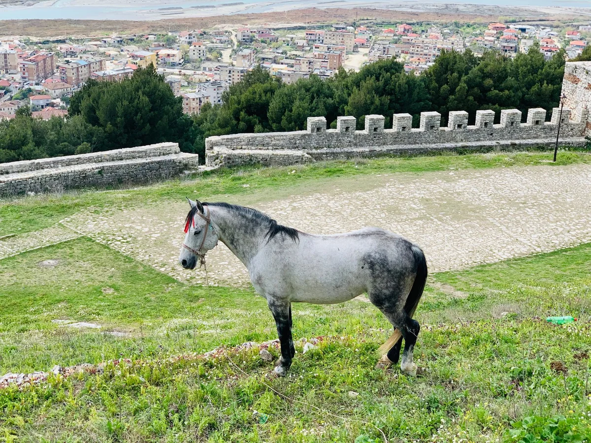 Berat Castle view 1