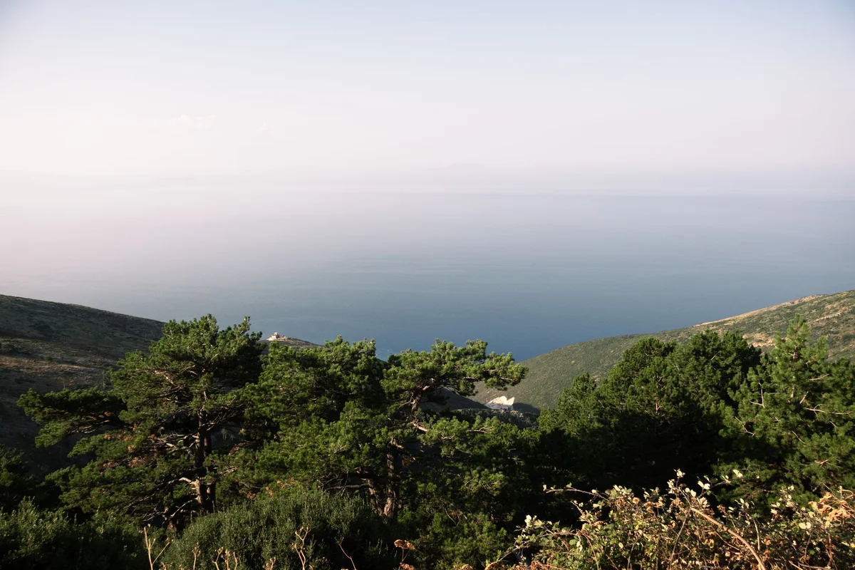 Activity view 1