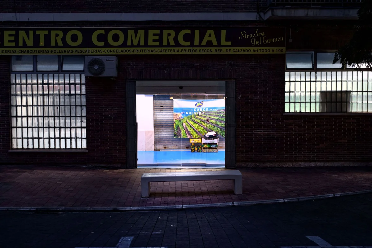 Avinguda Carlemany view 1