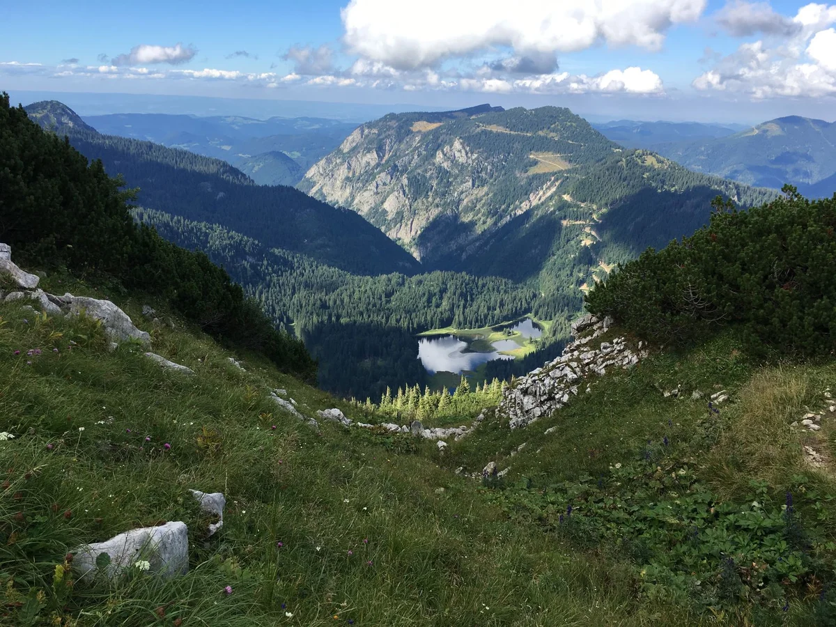 Schafbergbahn feature