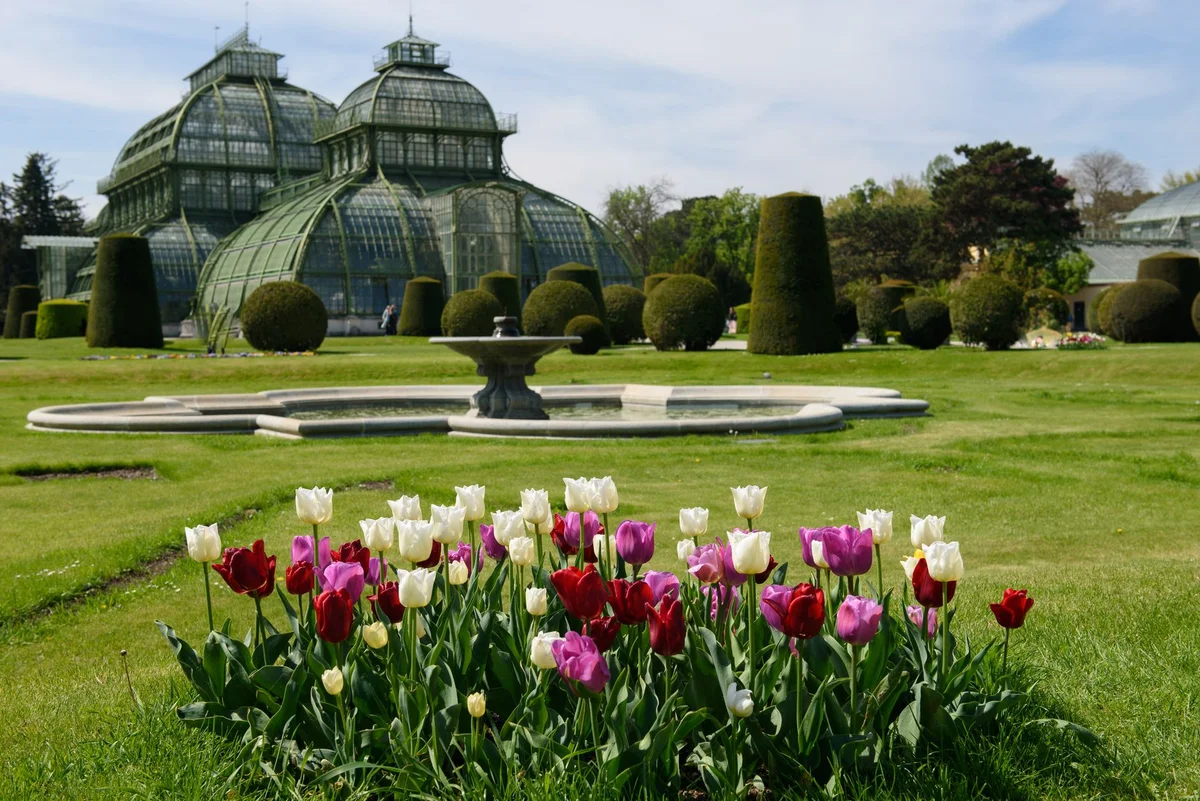 Schönbrunn Gardens view 1