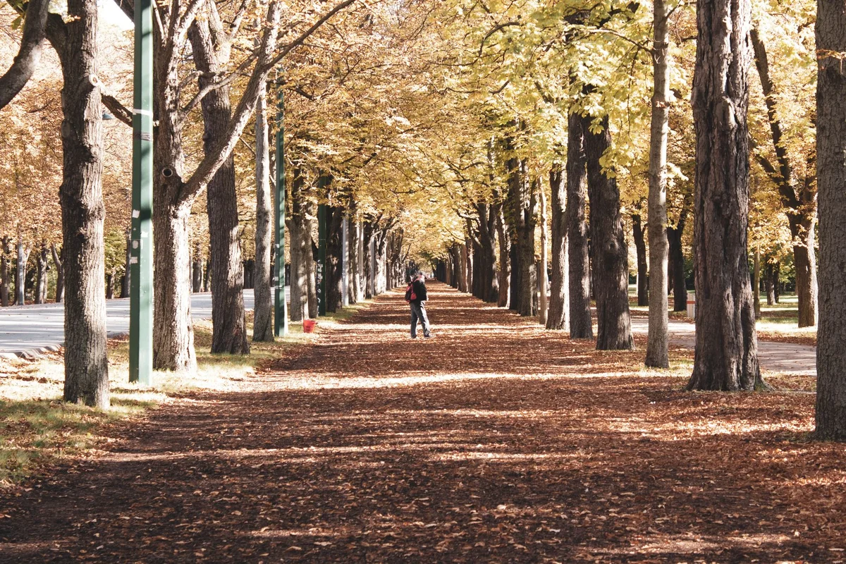Stadtpark Vienna view 1