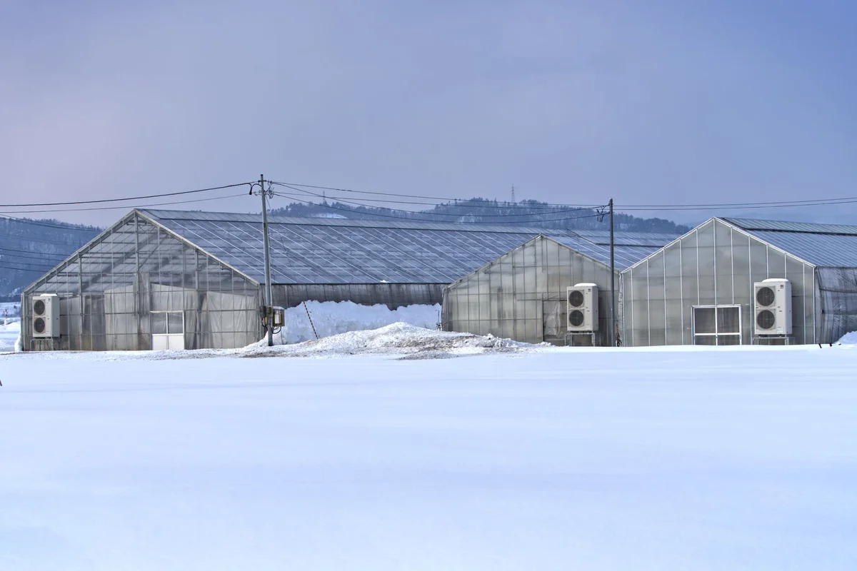 Brest Winter Garden feature