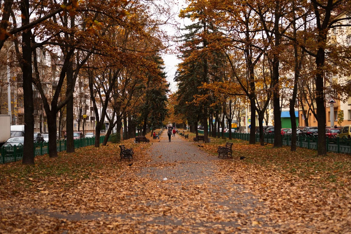 Loshitsa Estate Park view 1