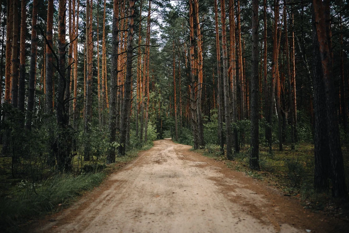 Nature Museum of Belovezhskaya Pushcha view 1