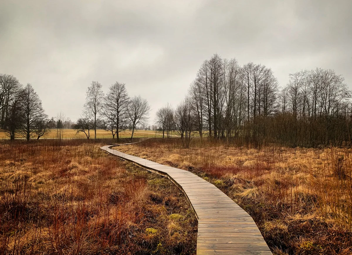 Tsar Oak Trail view 2