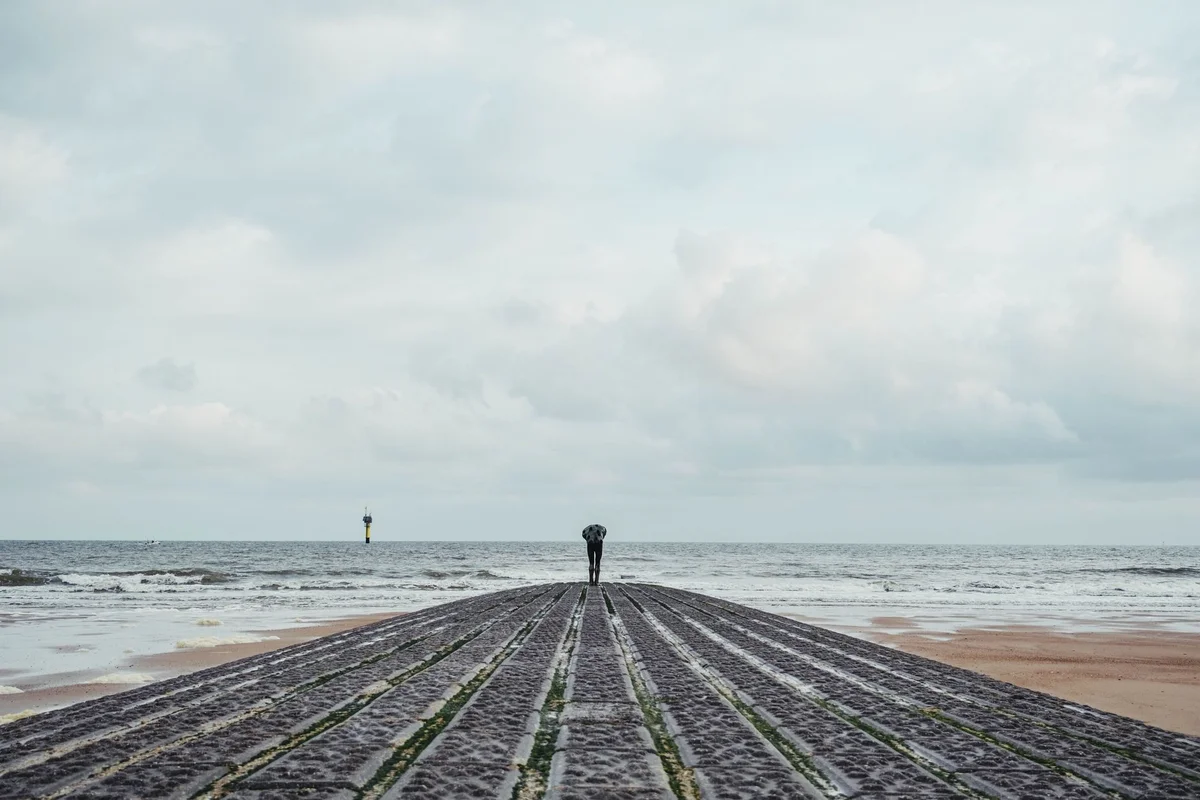 Knokke Beach feature