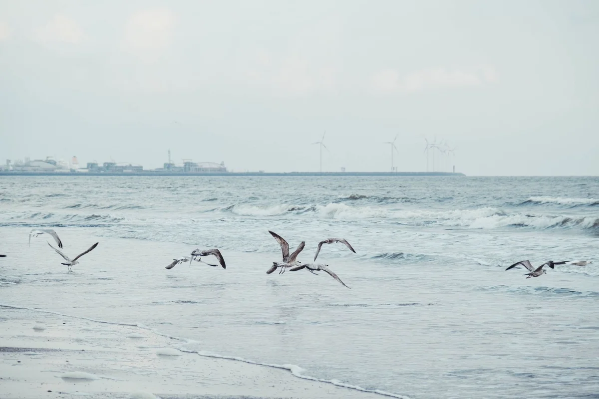 Knokke-Zoute view 1