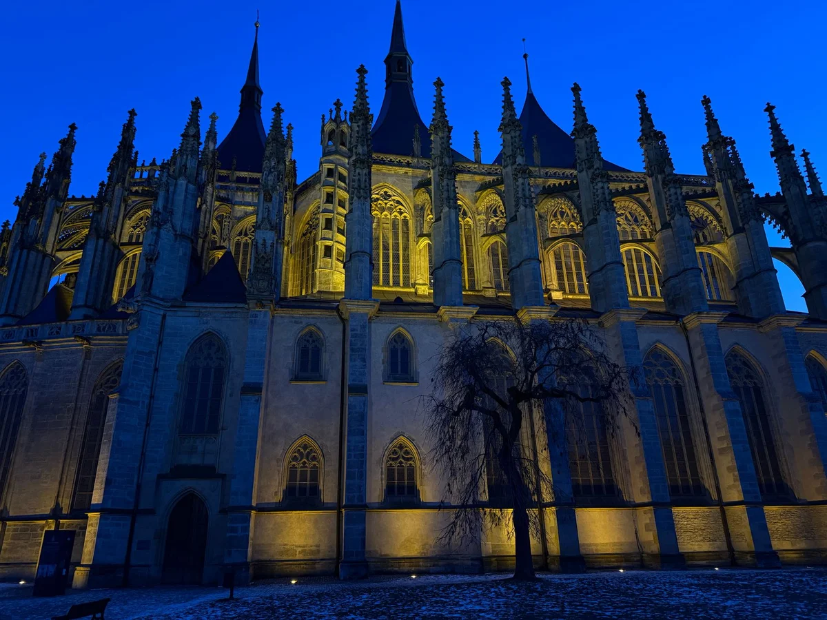 Saint Bavo's Cathedral feature