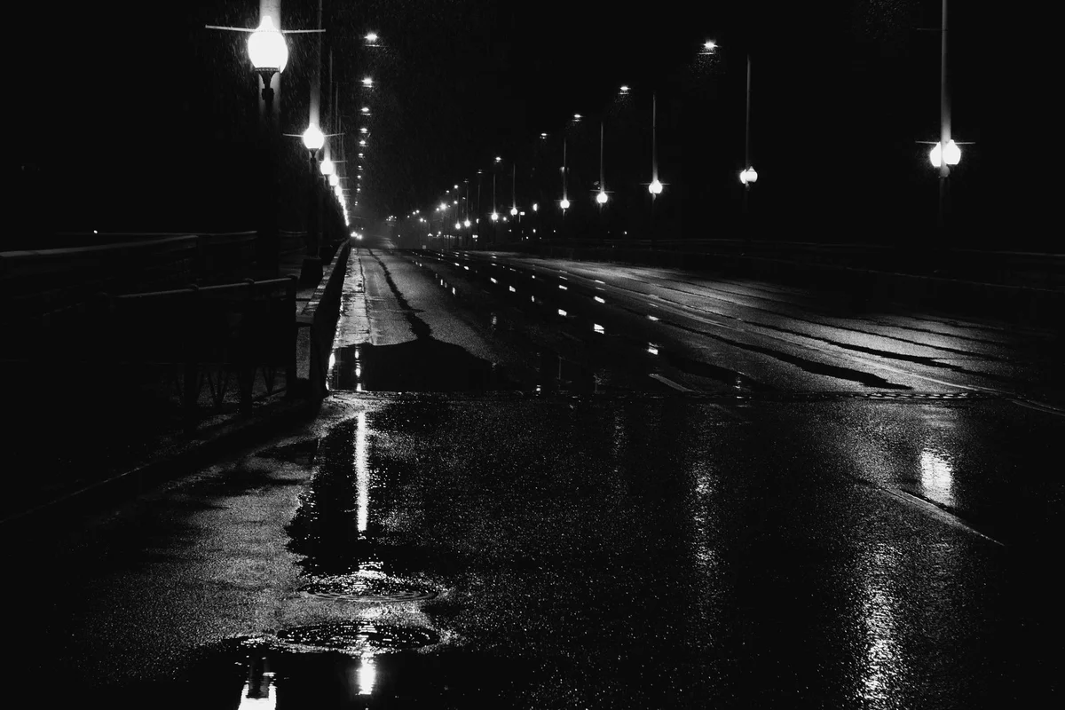 Vitosha Boulevard view 2