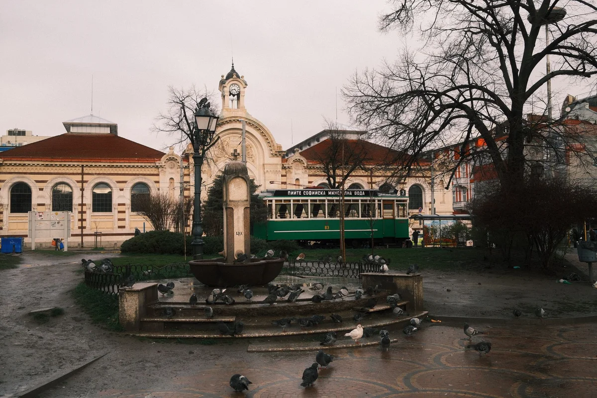Vitosha Boulevard view 1