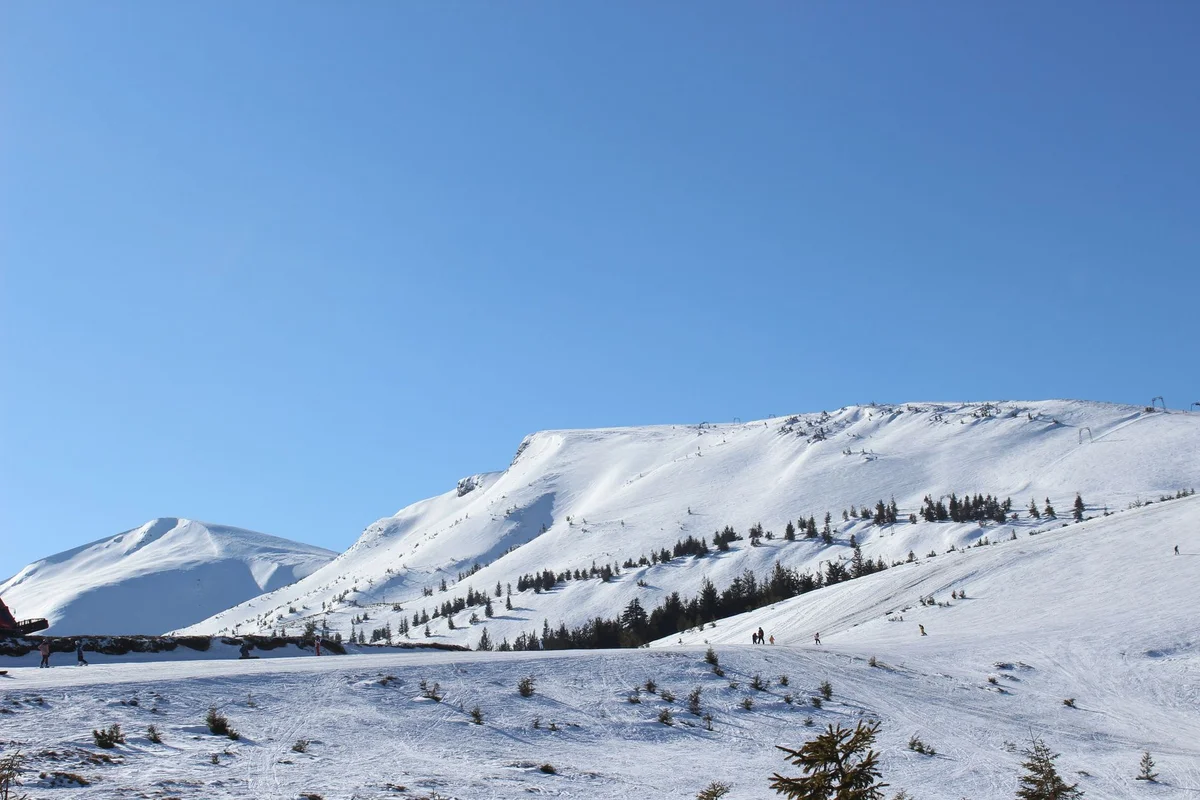Vitosha Mountain Park view 2