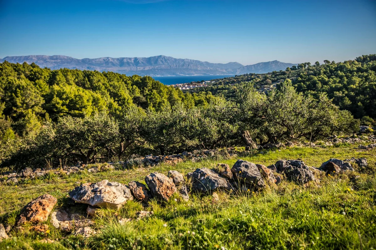 Blaca Hermitage view 1