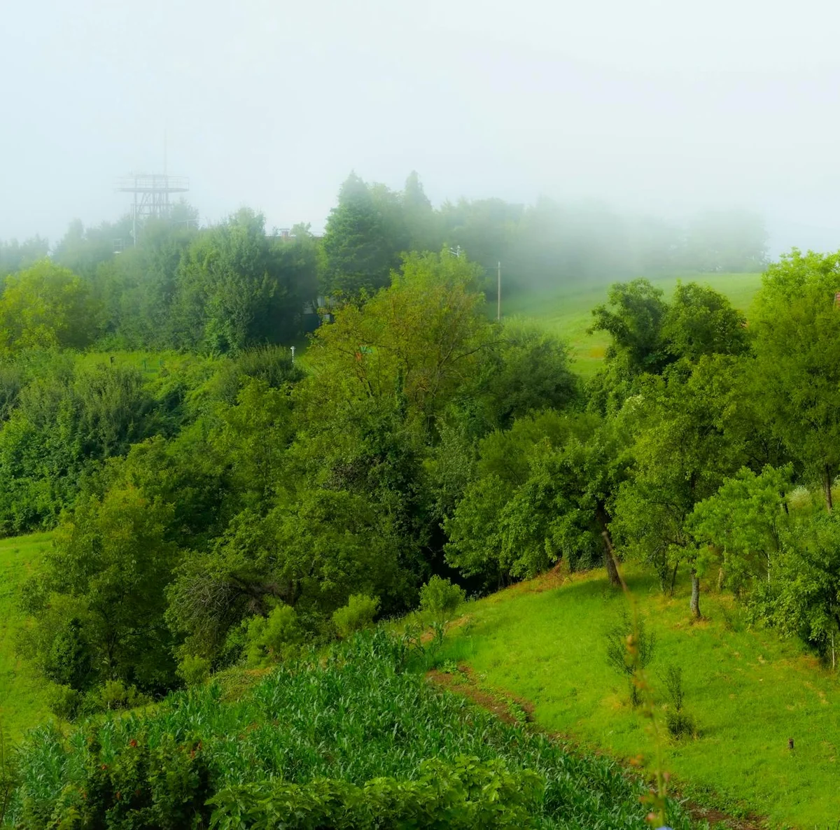 Vidova Gora view 2