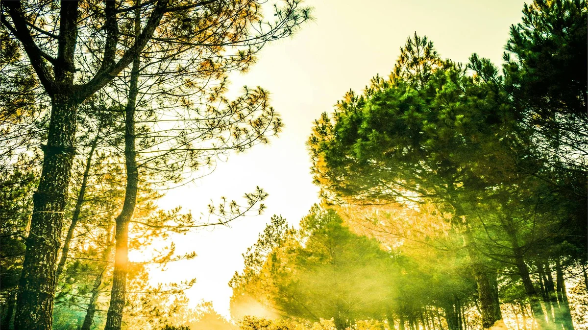 Mljet National Park view 2