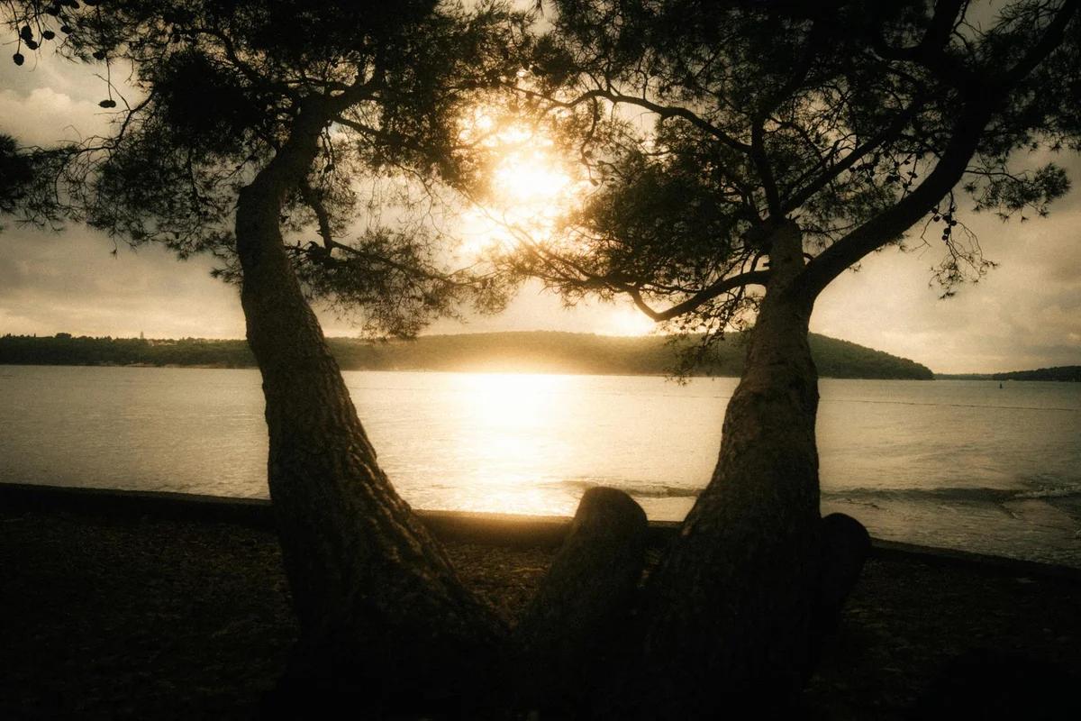 Brijuni National Park view 2