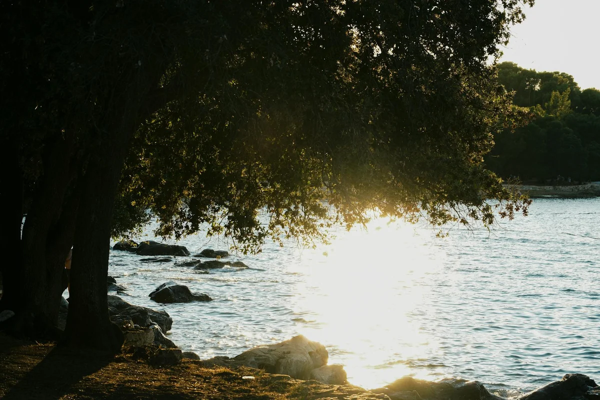 Zlatni Rt Walking Trails view 1
