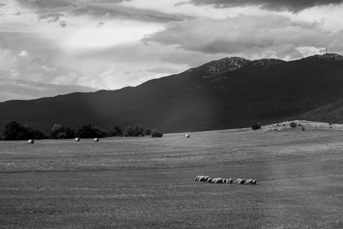 Gligora Cheese Factory view 2