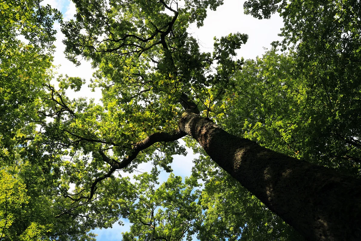 Kocje Nature Reserve view 2