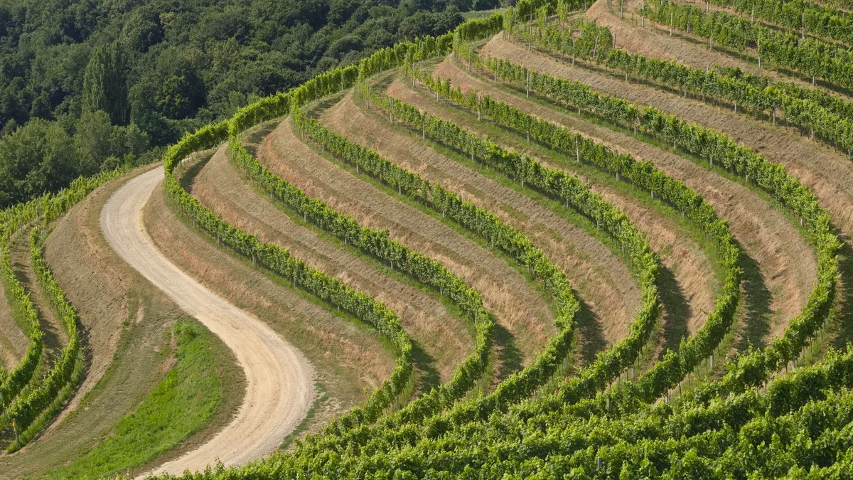 Meneghetti Winery feature