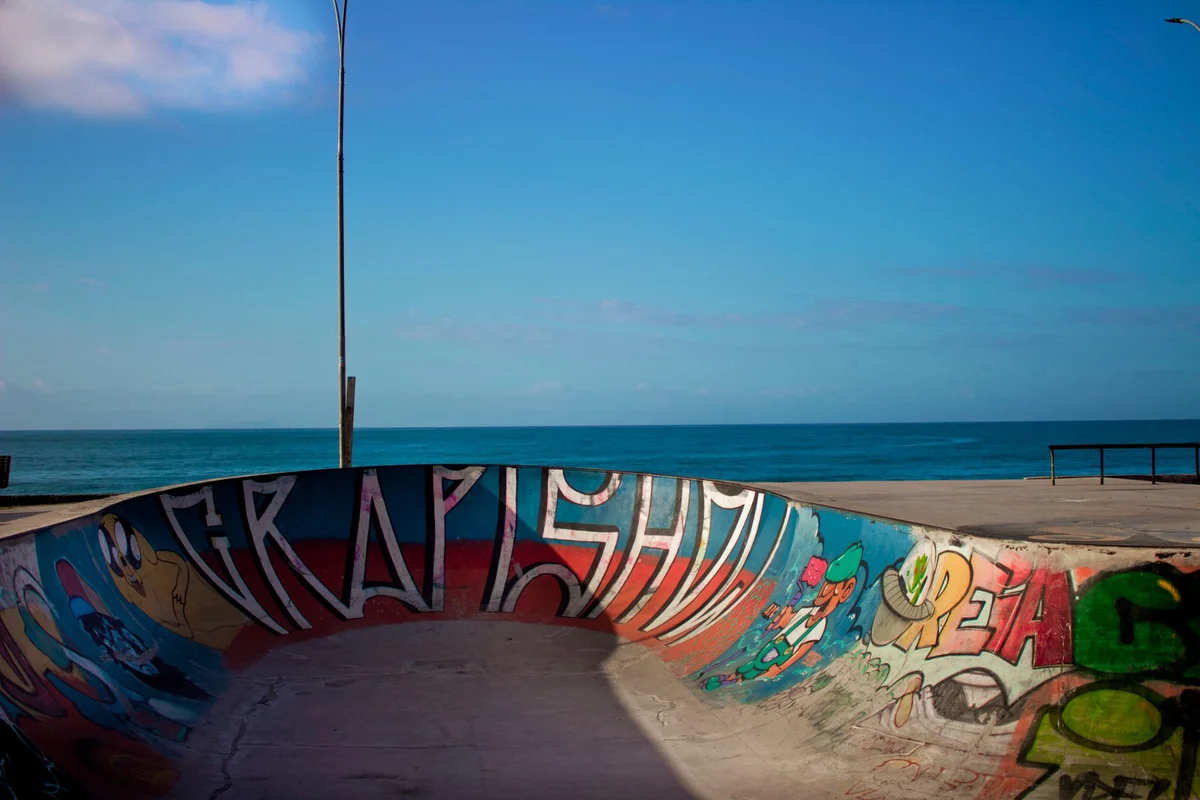 Rojc Skate Park feature