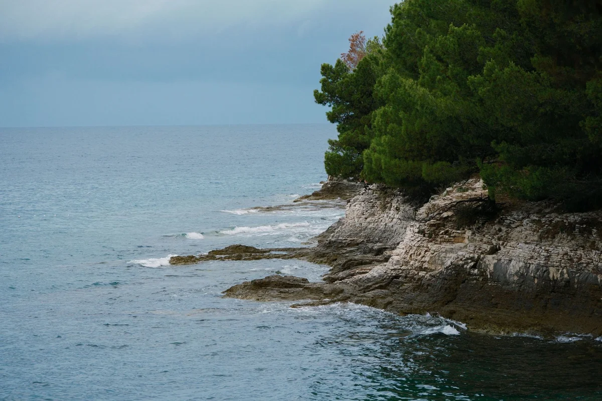 St Andrew Island feature