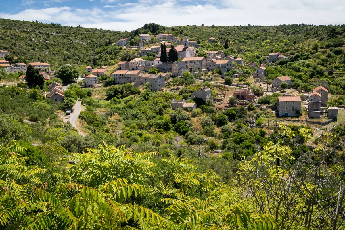 Velo Grablje Lavender Fields view 1