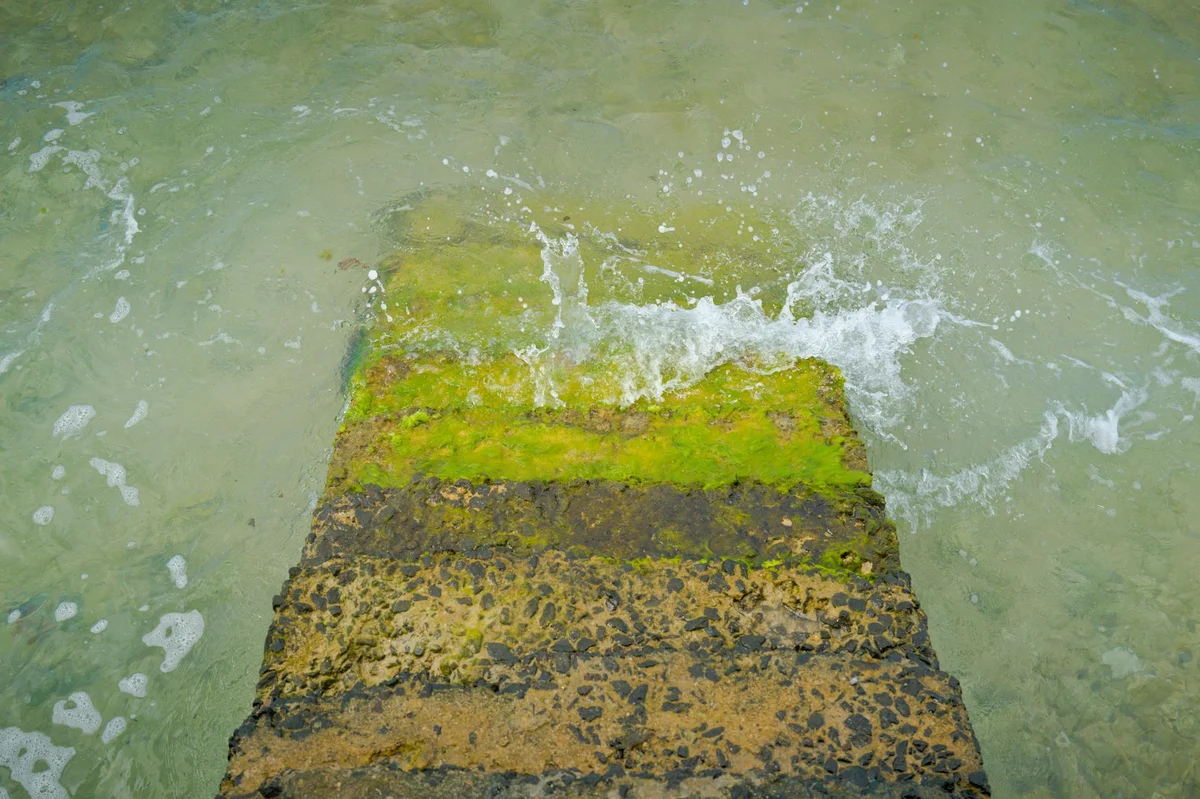 Sea Organ view 2
