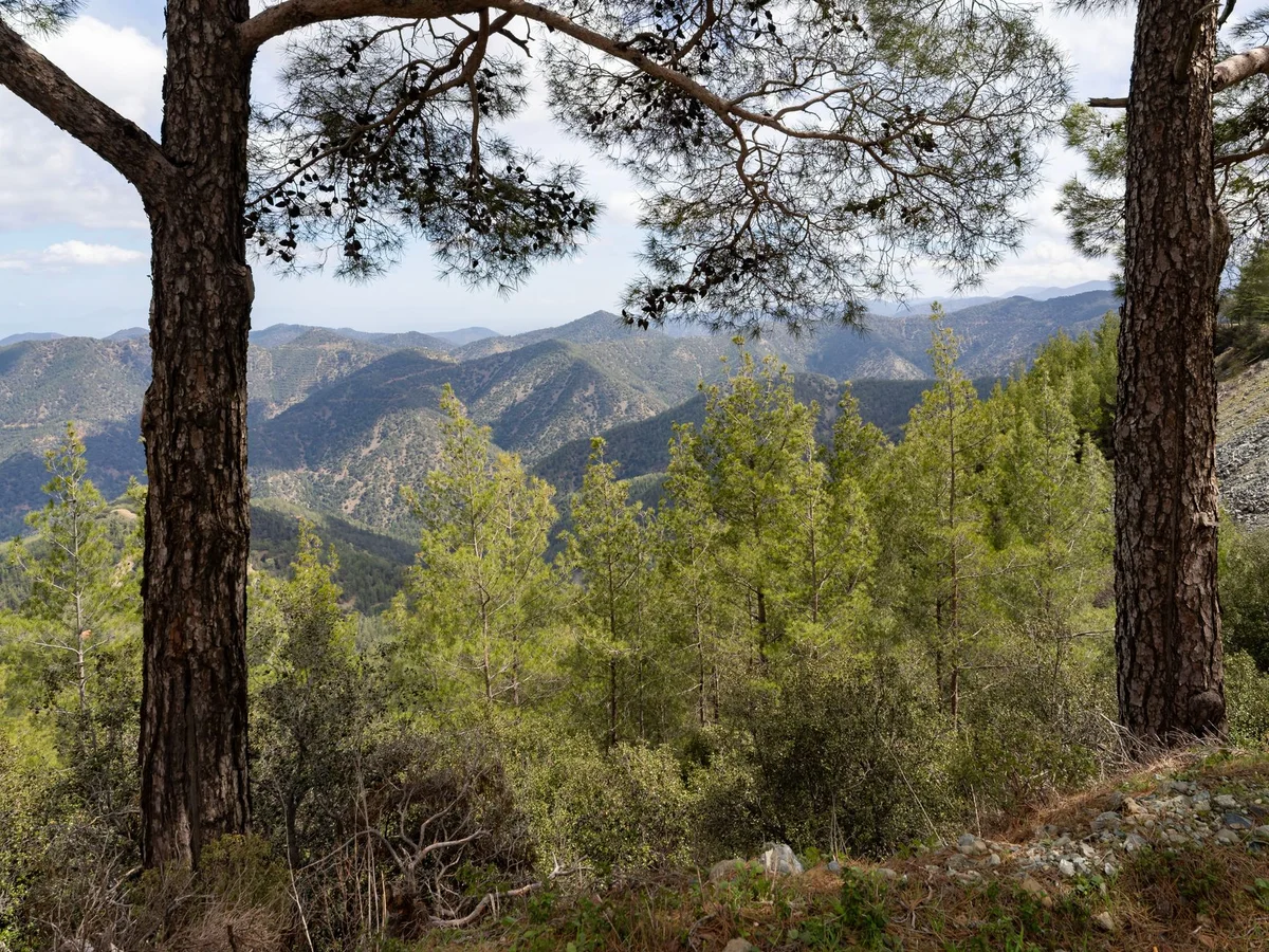 Troodos Mountains view 1