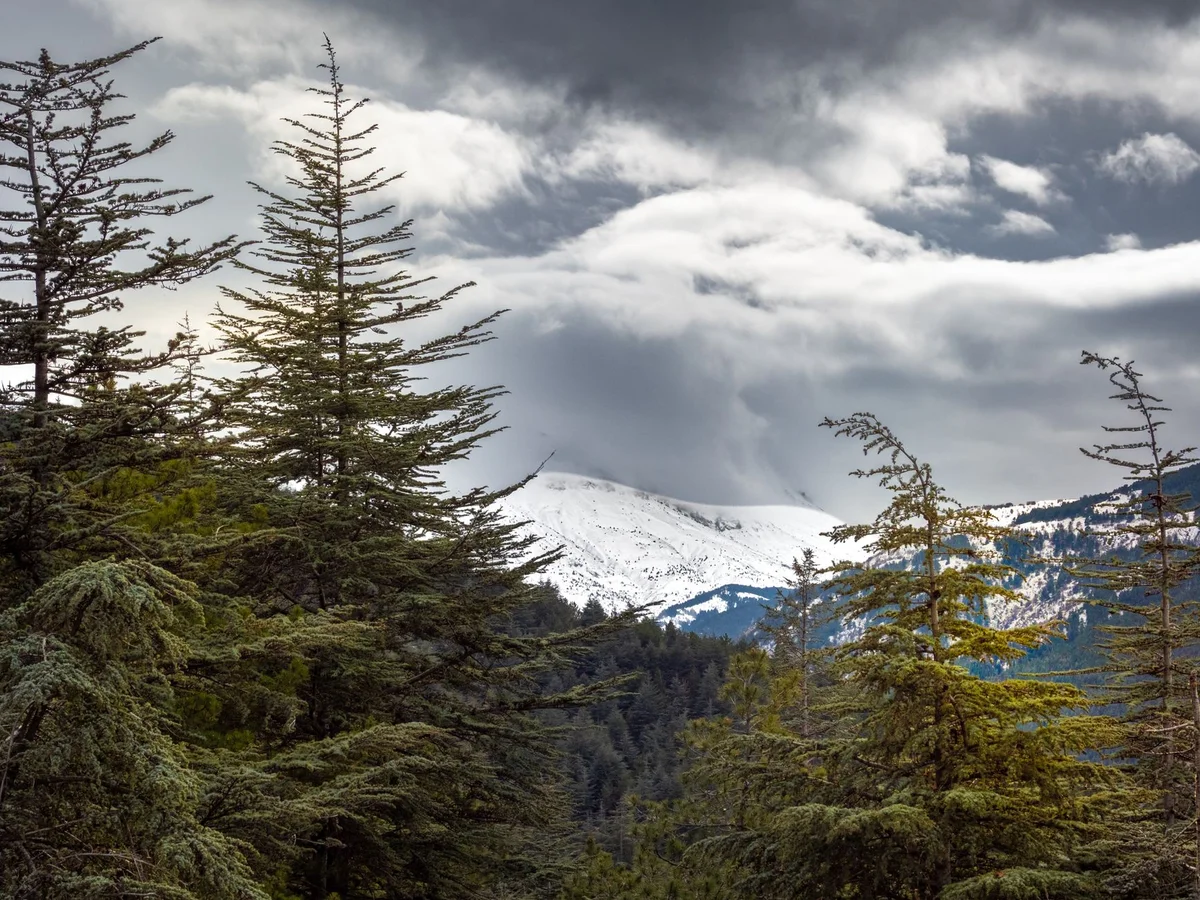 Troodos Mountains view 2