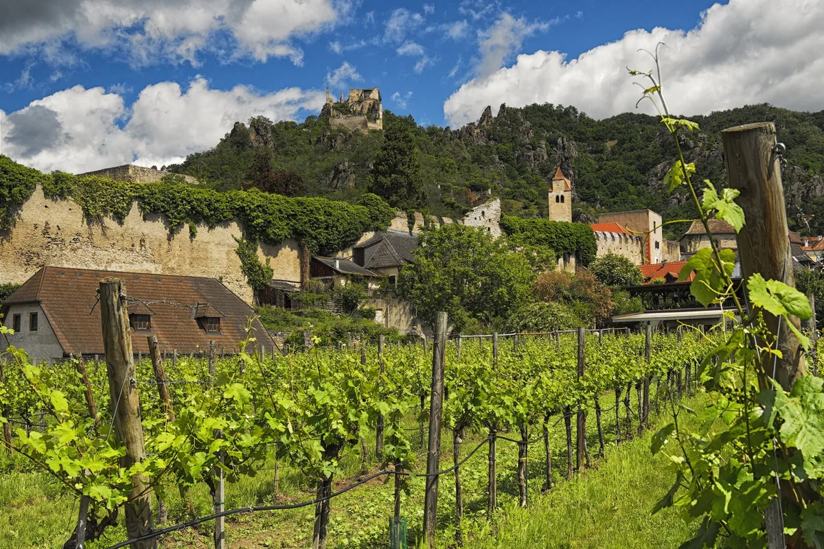 Mikulov Castle feature