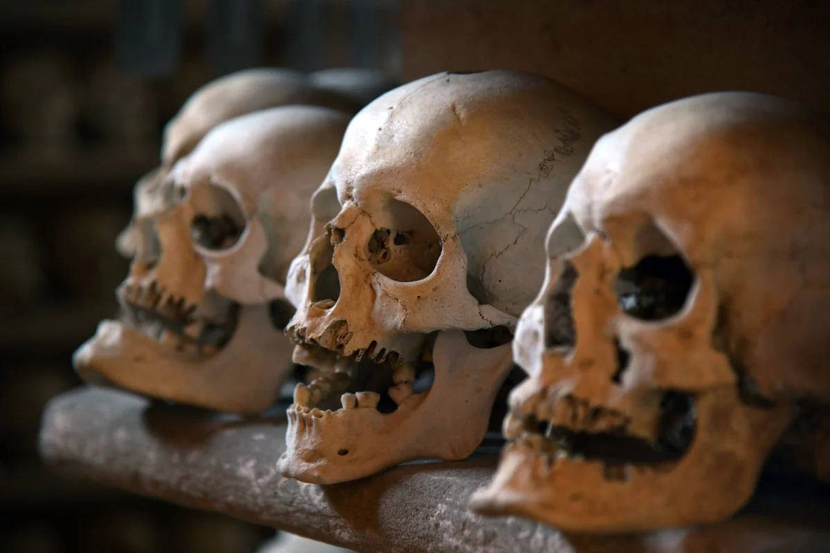 Sedlec Ossuary feature