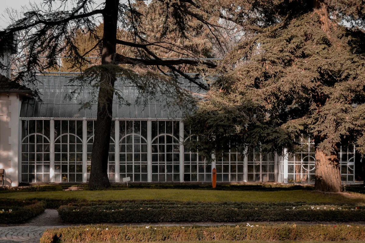 Villa Tugendhat feature