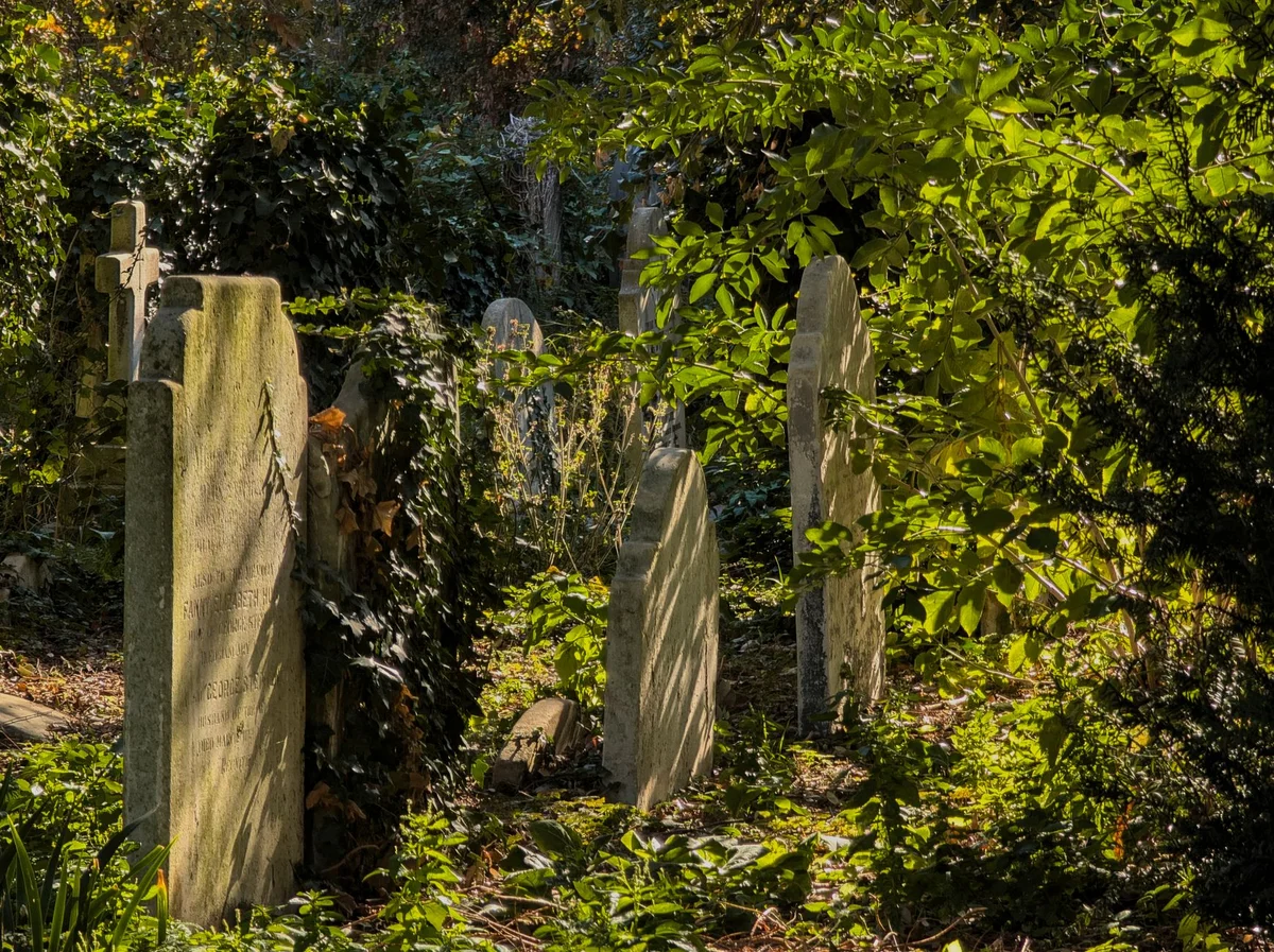 Assistens Cemetery view 1