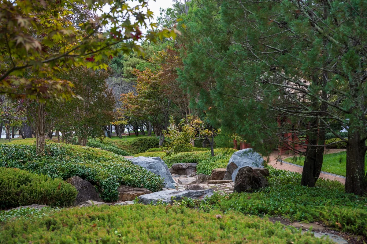 Botanical Garden view 2