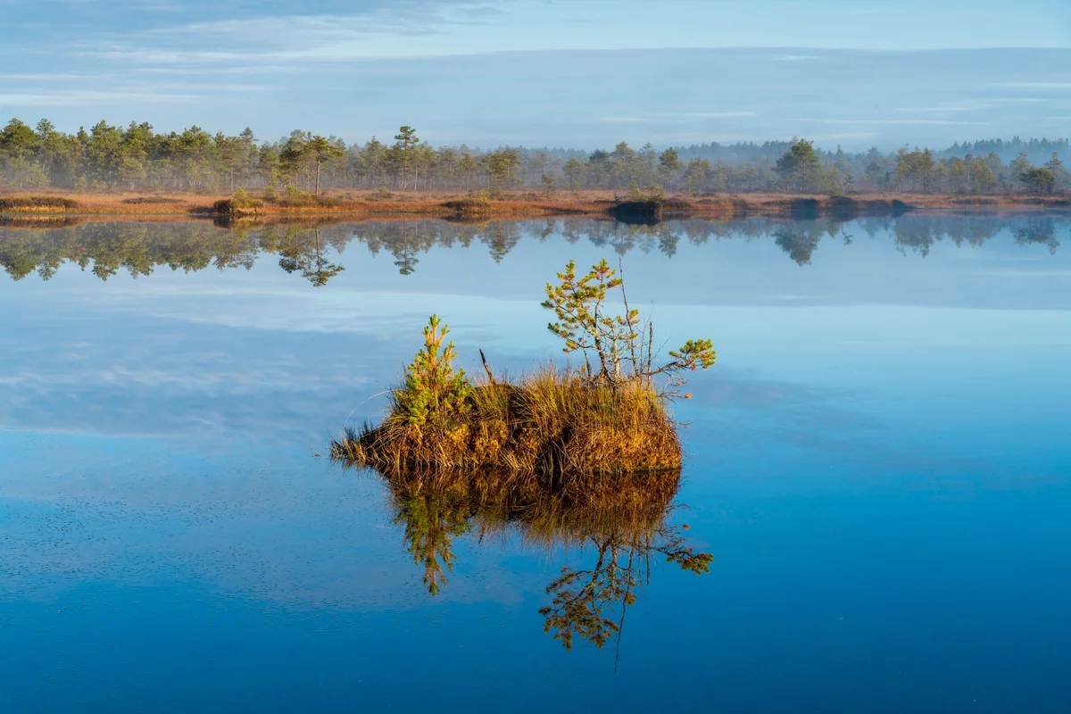 Kaali Meteorite Crater feature