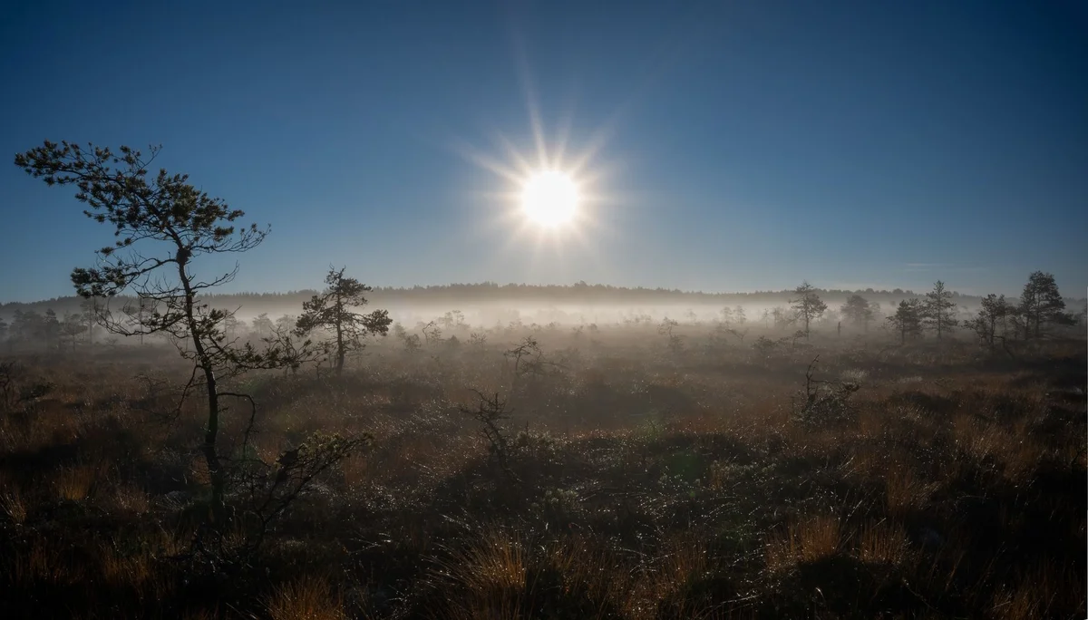 Lahemaa National Park feature