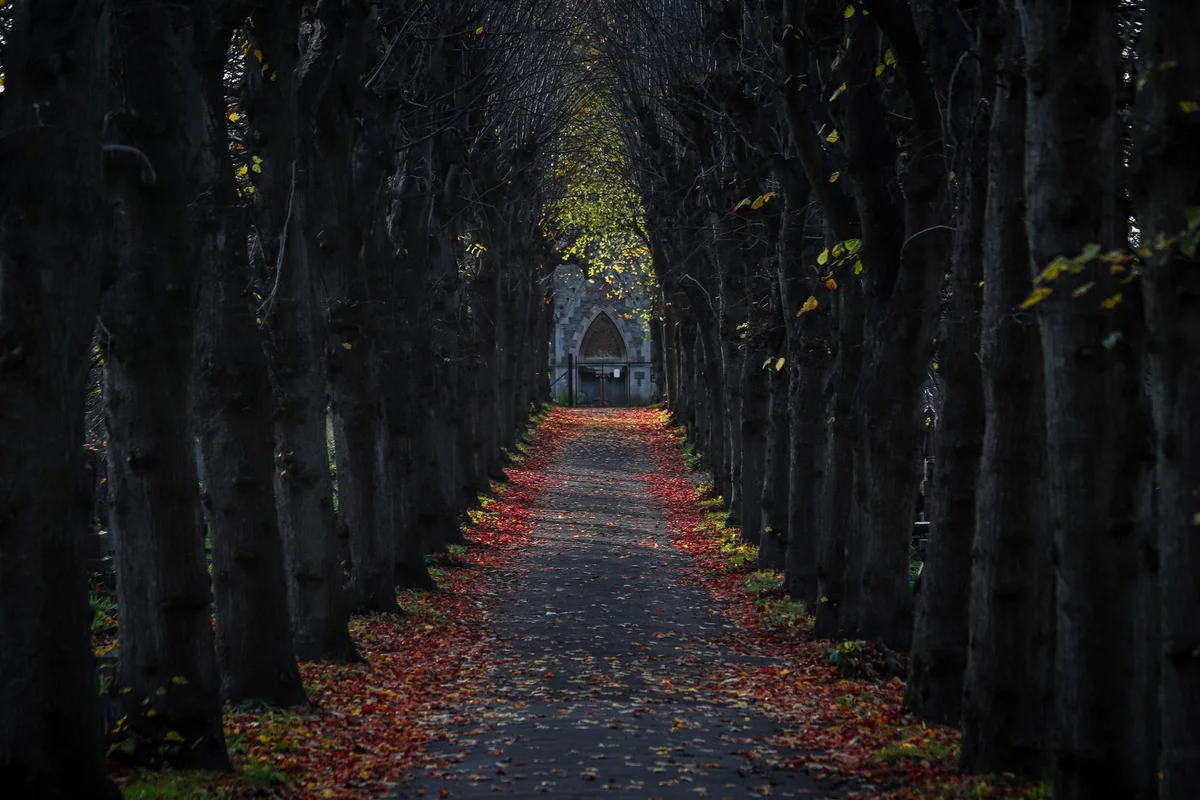 Tartu Angel Bridge view 2