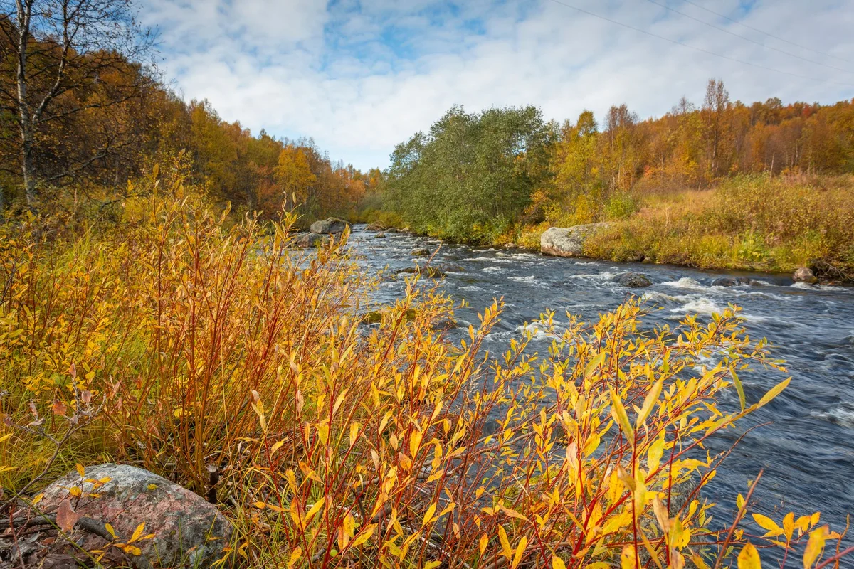 Juutua River feature