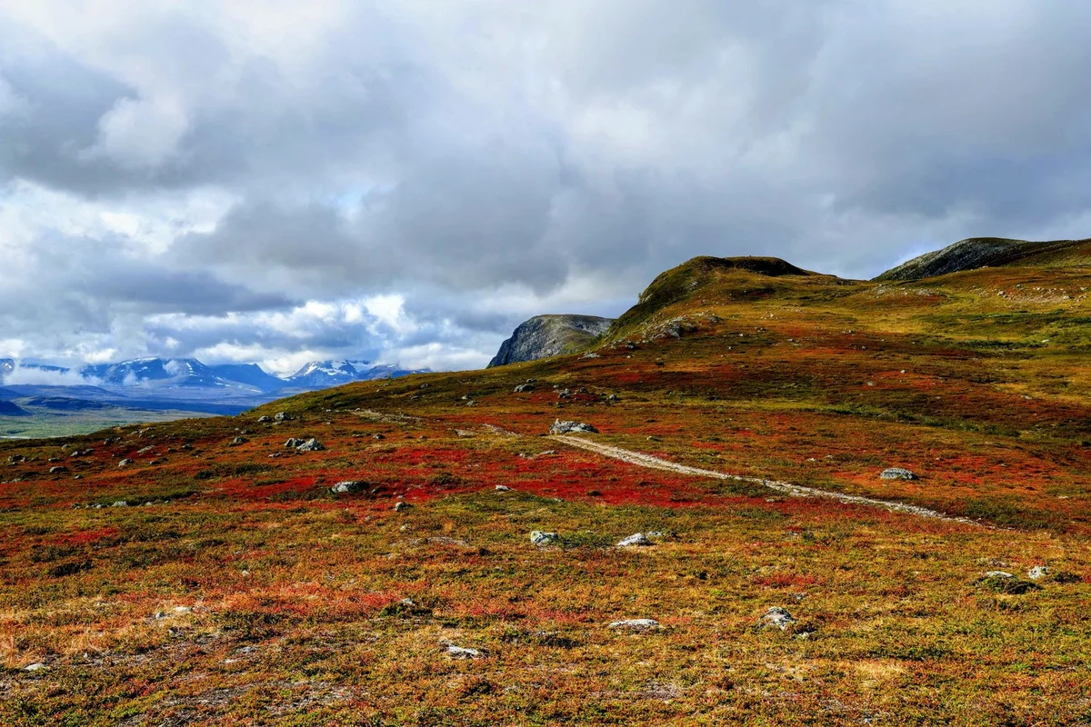 Kaunispää Fell view 1