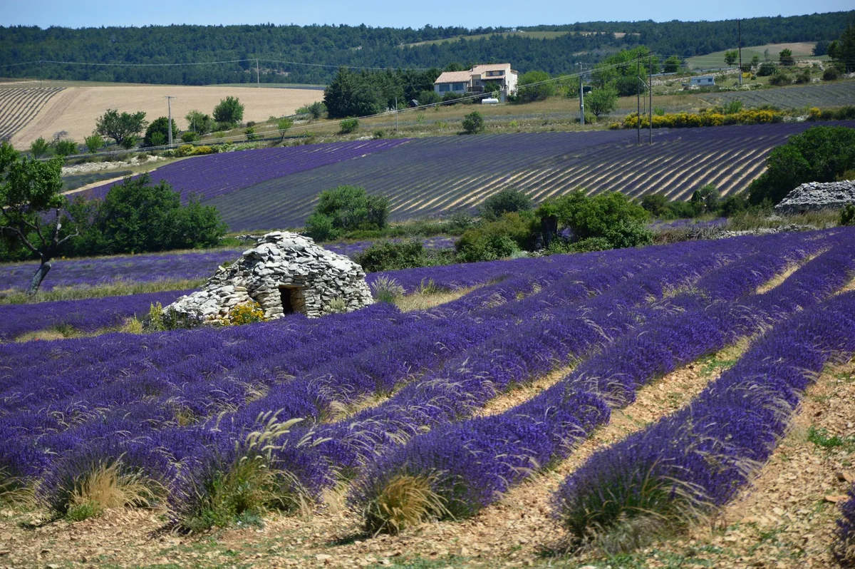 Sénanque Abbey view 2