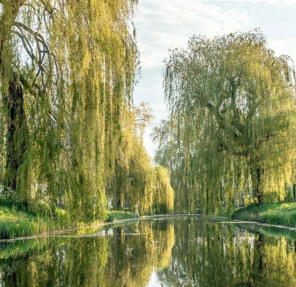 Fondation Claude Monet Giverny view 2