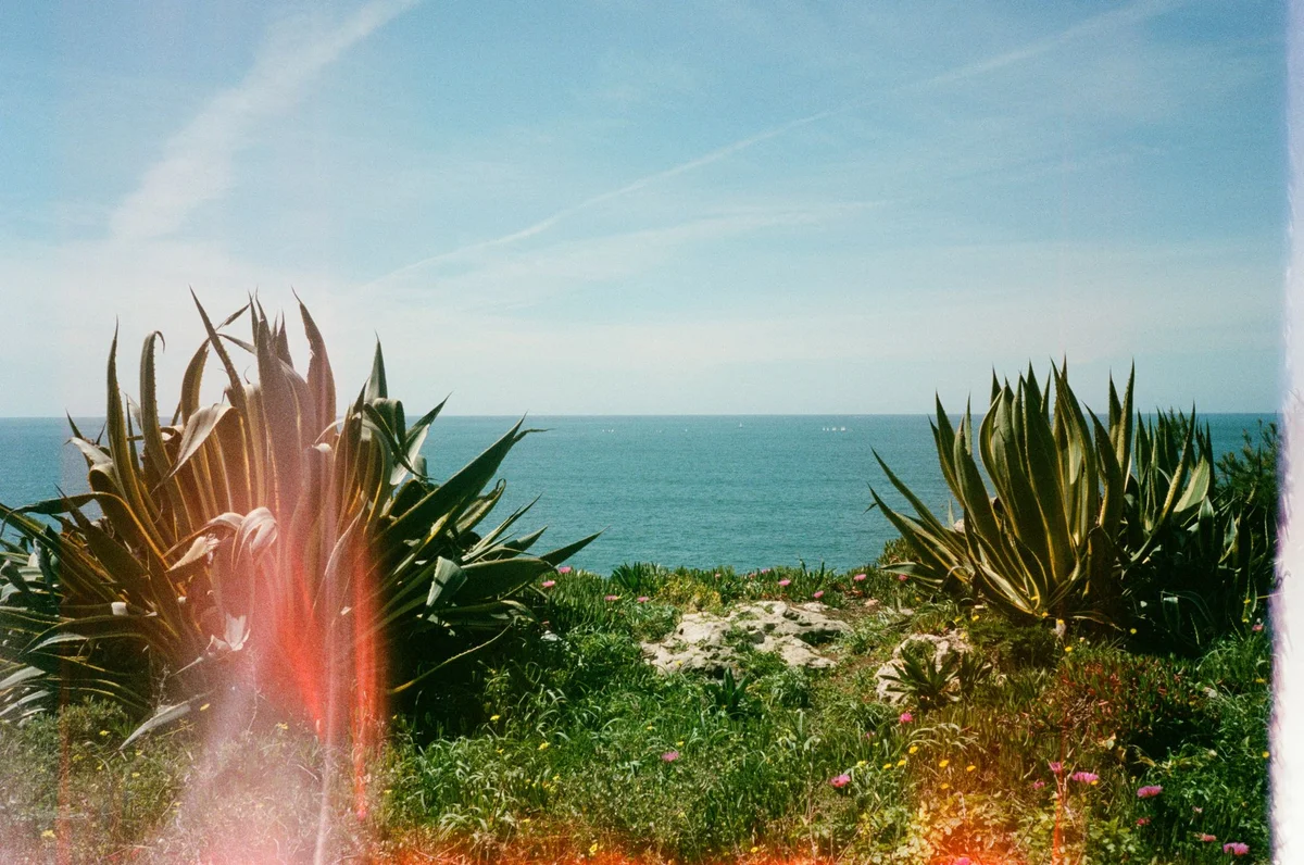 Jardin exotique d'Èze view 2