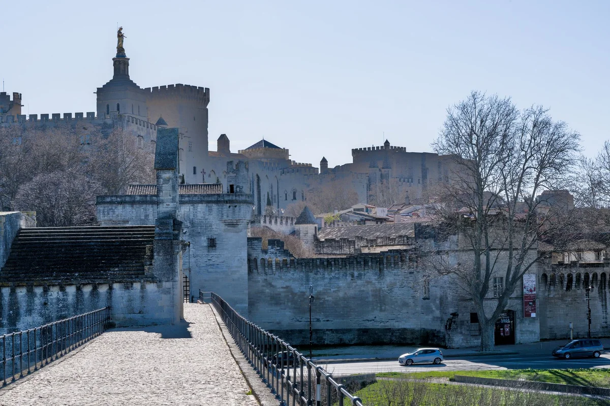 Palais Des Papes feature